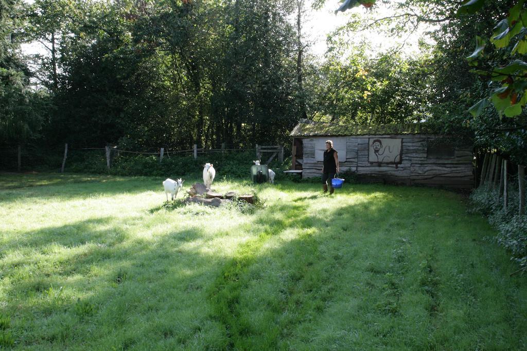 Le Petit Mas D'Ile Bed & Breakfast Saint-Germain-de-Confolens Exterior foto